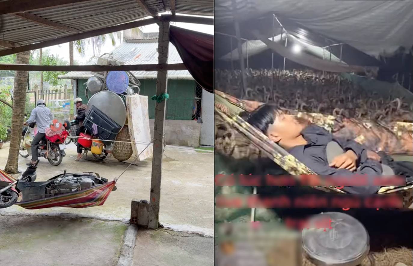 Món đồ mà nhà nào ở miền Tây cũng phải có: "Ăn cơm xong nằm đu đưa là hết sảy"!- Ảnh 1. Món đồ mà nhà nào ở miền Tây cũng phải có: "Ăn cơm xong nằm đu đưa là hết sảy"!- Ảnh 1.