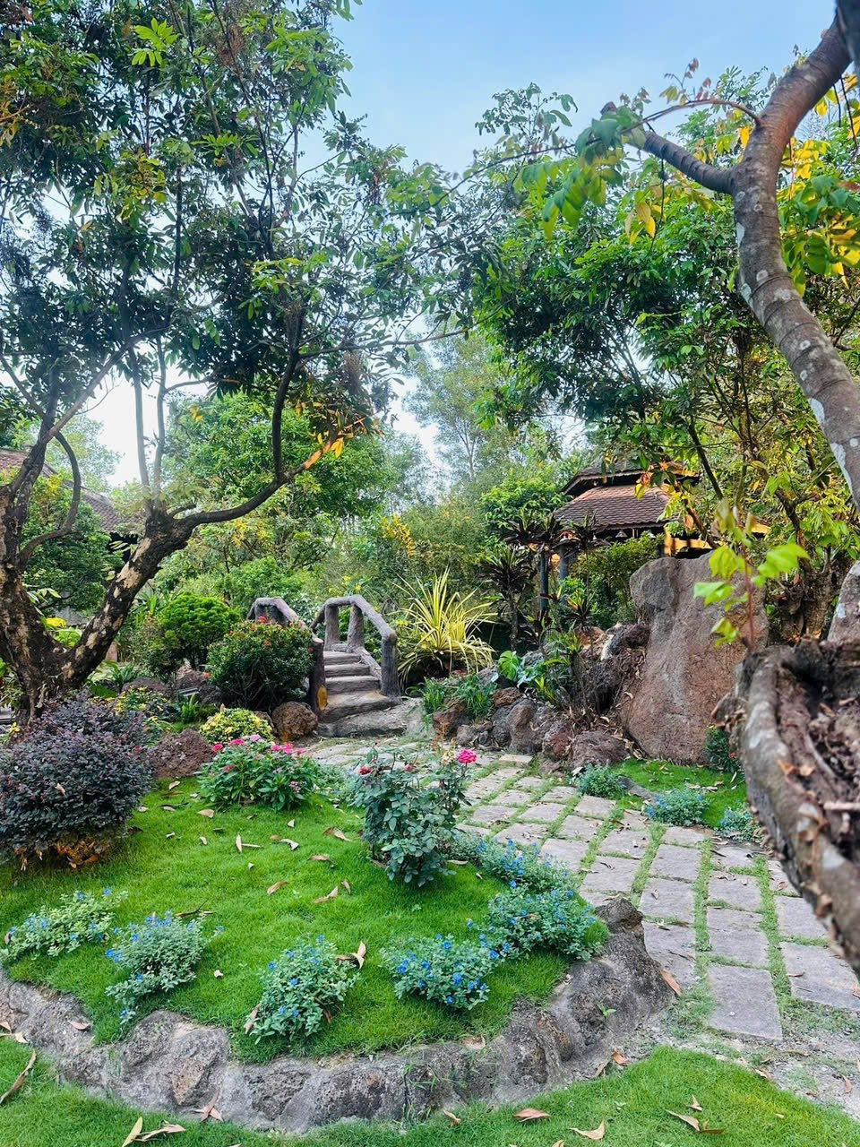 Bên trong biệt phủ 100 tỷ, rộng 16.000 m2 của Hoàng Mập: Giường ngủ 2,3 tỷ, hồ cá 4.000 đô một con- Ảnh 9. Bên trong biệt phủ 100 tỷ, rộng 16.000 m2 của Hoàng Mập: Giường ngủ 2,3 tỷ, hồ cá 4.000 đô một con- Ảnh 9.