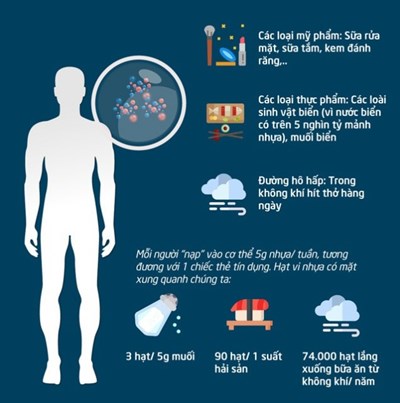 Ngồi không cũng nhiễm vi nhựa - Chuyên gia cảnh báo ô nhiễm vi nhựa trong không khí, con người có thể hít vào lượng vi nhựa to bằng hươu cao cổ- Ảnh 2. Ngồi không cũng nhiễm vi nhựa - Chuyên gia cảnh báo ô nhiễm vi nhựa trong không khí, con người có thể hít vào lượng vi nhựa to bằng hươu cao cổ- Ảnh 2.