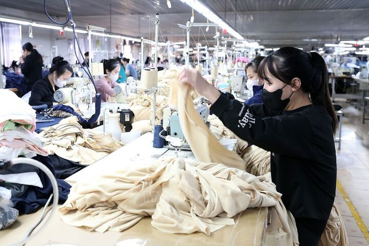 Nghỉ phép có được tính lương, trường hợp nào nghỉ làm vẫn hưởng lương?- Ảnh 2. Nghỉ phép có được tính lương, trường hợp nào nghỉ làm vẫn hưởng lương?- Ảnh 2.