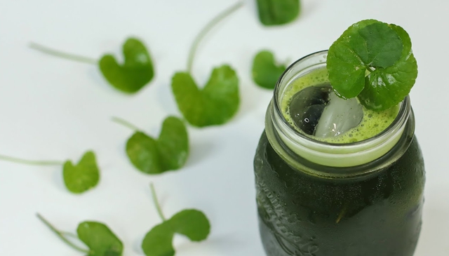 Loại rau dân dã ở Việt Nam được Trung Quốc ví như "thảo dược trường thọ": Mát gan, tốt cho thận- Ảnh 2.