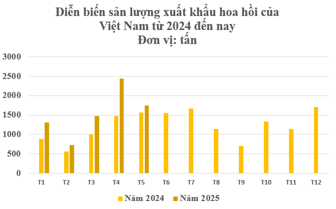 Loại hoa nghìn tỷ của Việt Nam được Ấn Độ có bao nhiêu mua bấy nhiêu: Thu gần 29 triệu USD kể từ đầu năm, nước ta cùng Trung Quốc thống trị nguồn cung toàn cầu- Ảnh 2. Loại hoa nghìn tỷ của Việt Nam được Ấn Độ có bao nhiêu mua bấy nhiêu: Thu gần 29 triệu USD kể từ đầu năm, nước ta cùng Trung Quốc thống trị nguồn cung toàn cầu- Ảnh 2.