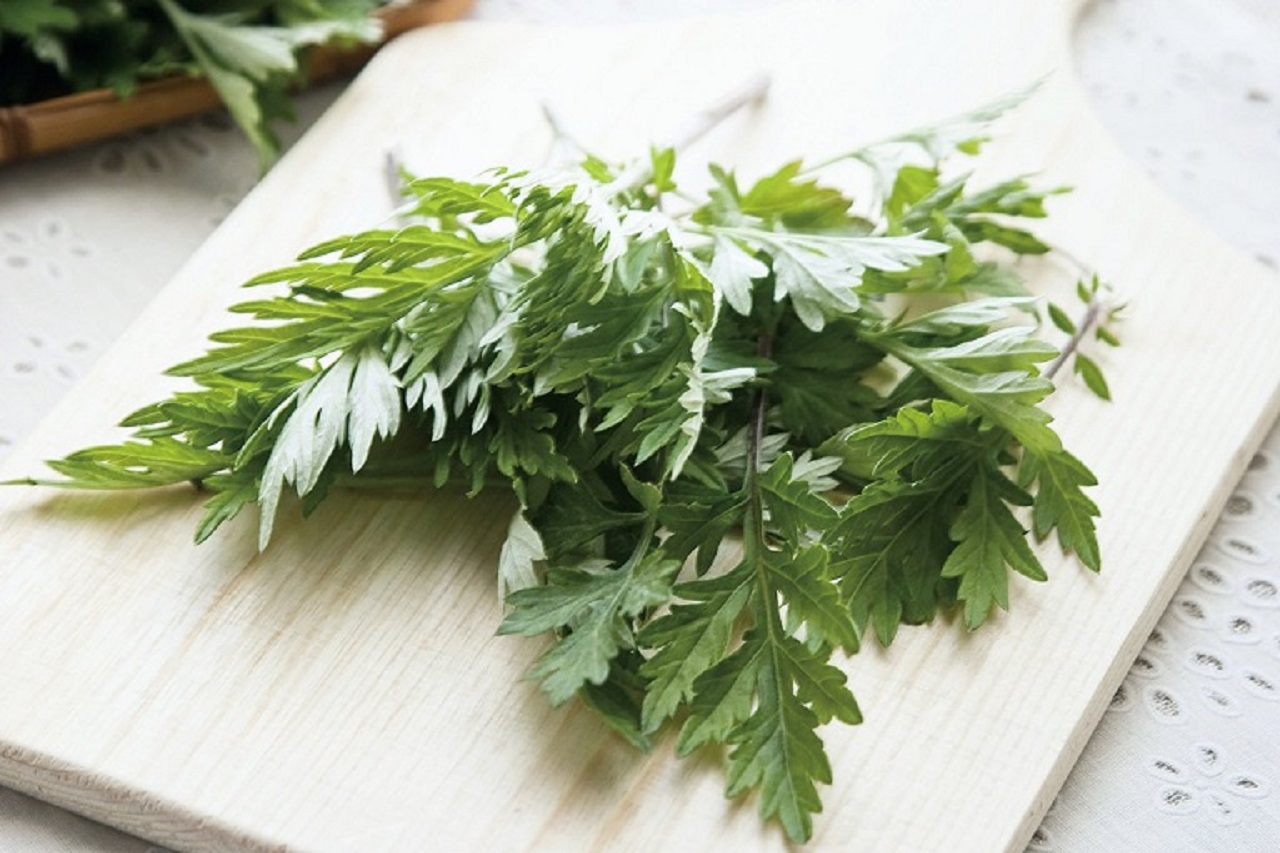 Loại lá dân dã ở Việt Nam được Trung Quốc ví là Loại lá dân dã ở Việt Nam được Trung Quốc ví là