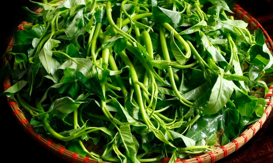 Loại rau rẻ tiền nhưng tốt ngang nhân sâm, chợ bán 5.000 đồng/mớ, không ăn là phí của trời- Ảnh 2.