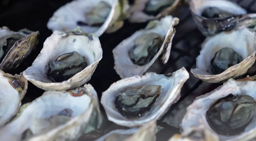 Khách Tây ăn hải sản Nha Trang xong thú thật: ‘Ở bờ Tây nước Mỹ không có món này mà ăn’- Ảnh 3. Khách Tây ăn hải sản Nha Trang xong thú thật: ‘Ở bờ Tây nước Mỹ không có món này mà ăn’- Ảnh 3.