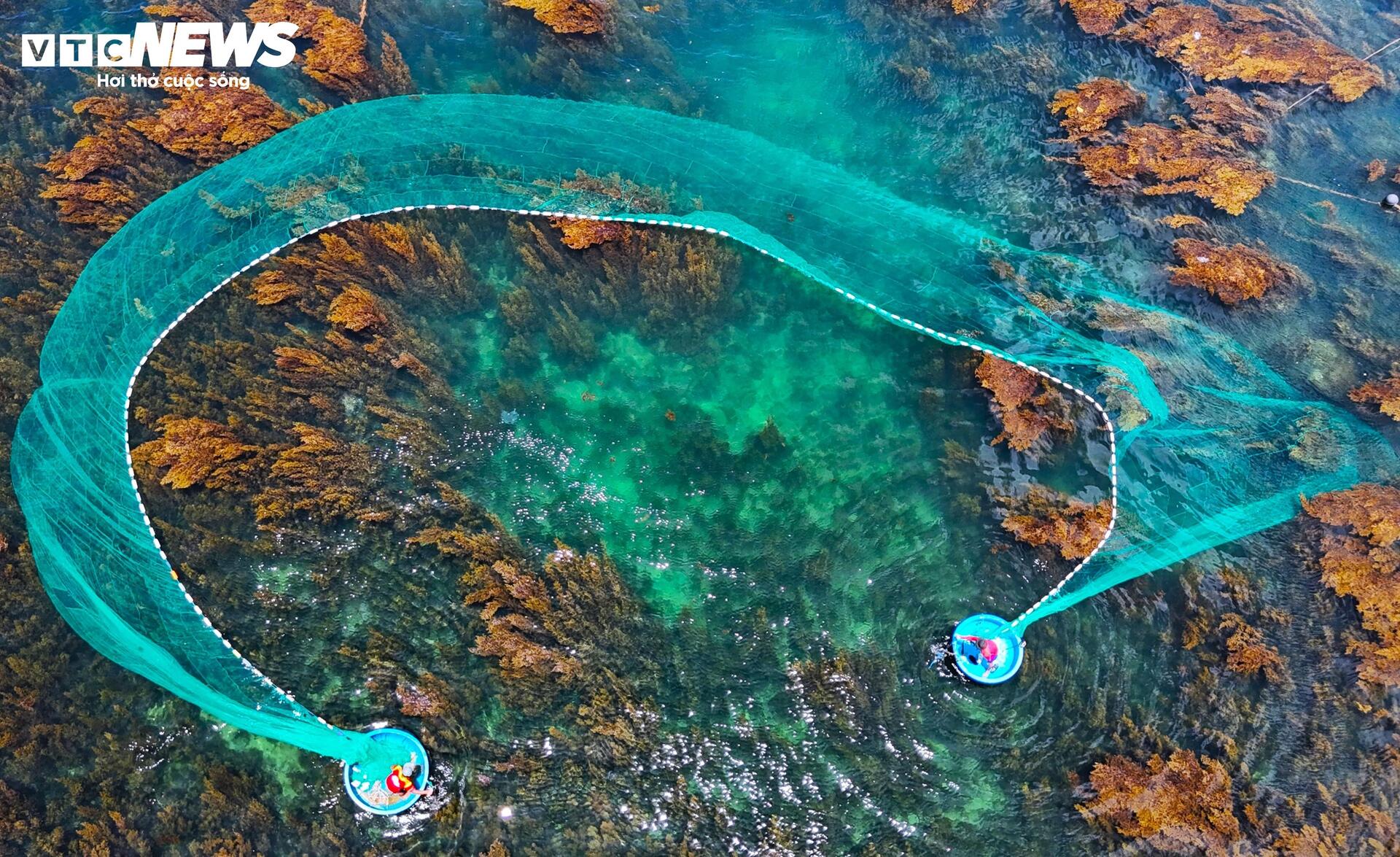 'Trốn' phố thị ồn ào, về Quy Nhơn ngắm rong mơ nhuộm vàng đáy biển- Ảnh 12. 'Trốn' phố thị ồn ào, về Quy Nhơn ngắm rong mơ nhuộm vàng đáy biển- Ảnh 12.