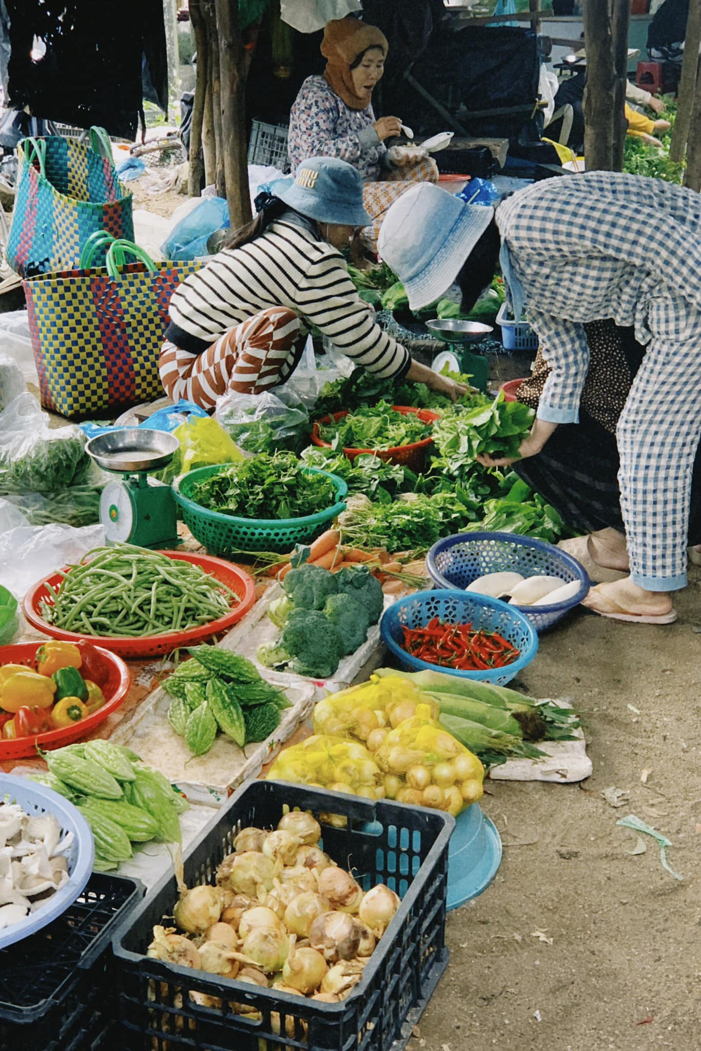 Hành trình rời Hà Nội về Phú Yên của cô nàng 25 tuổi: Từ bỏ công việc 30 triệu/tháng, về sống ở làng chài, tiêu 5 triệu/tháng vẫn còn tiền gửi về cho gia đình- Ảnh 13. Hành trình rời Hà Nội về Phú Yên của cô nàng 25 tuổi: Từ bỏ công việc 30 triệu/tháng, về sống ở làng chài, tiêu 5 triệu/tháng vẫn còn tiền gửi về cho gia đình- Ảnh 13.