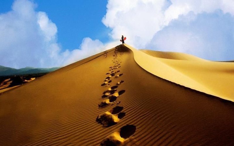 Dải đất miền Trung gió Lào cát trắng có món đặc sản độc nhất vô nhị khiến người sành vị cũng phải săn lùng, hữu duyên lắm mới được thưởng thức!- Ảnh 14. Dải đất miền Trung gió Lào cát trắng có món đặc sản độc nhất vô nhị khiến người sành vị cũng phải săn lùng, hữu duyên lắm mới được thưởng thức!- Ảnh 14.