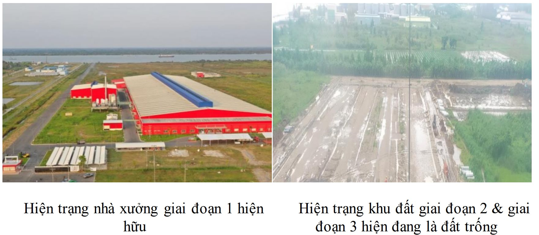 Công ty của Tân Hiệp Phát muốn đầu tư 4.000 tỷ đồng, tăng gấp 4 lần công suất sản xuất nước giải khát lên 1 tỷ lít/năm- Ảnh 2. Công ty của Tân Hiệp Phát muốn đầu tư 4.000 tỷ đồng, tăng gấp 4 lần công suất sản xuất nước giải khát lên 1 tỷ lít/năm- Ảnh 2.