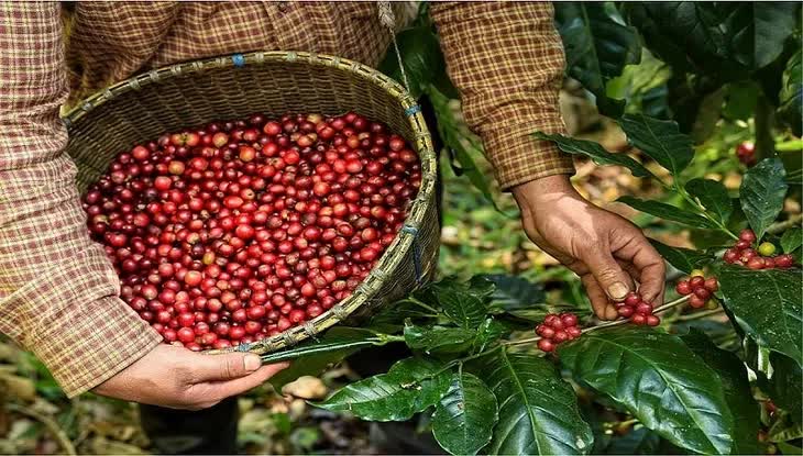 Từ cà phê đến công nghệ cao: Xuất khẩu Việt Nam vẽ đường đi giữa "mây mù" kinh tế- Ảnh 2. Từ cà phê đến công nghệ cao: Xuất khẩu Việt Nam vẽ đường đi giữa "mây mù" kinh tế- Ảnh 2.
