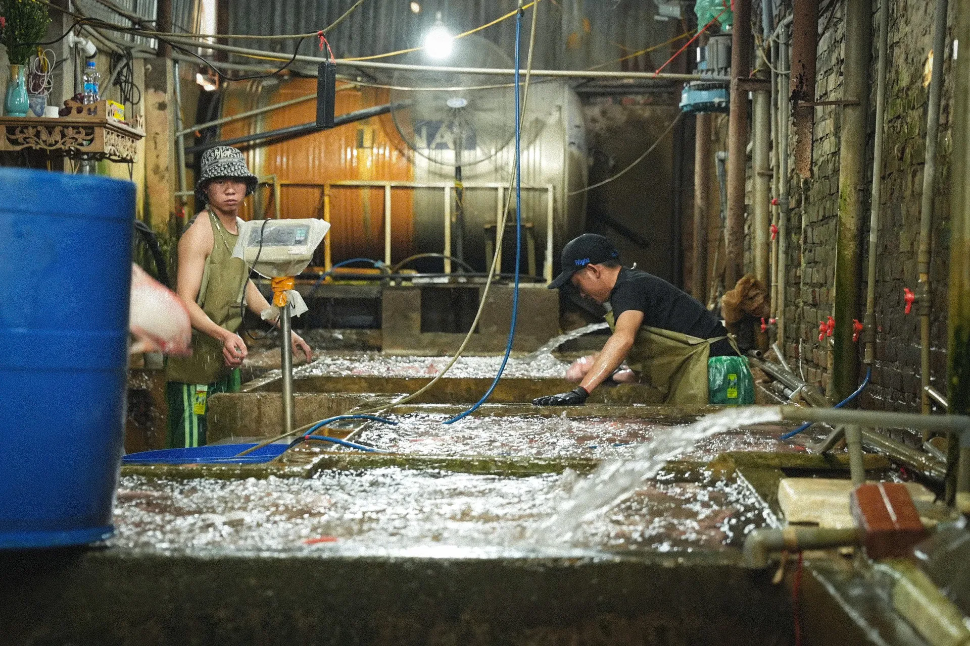 Bên trong chợ đầu mối thủy sản lớn nhất Thủ đô: Xuống cấp, chật chội, nhếch nhác- Ảnh 5. Bên trong chợ đầu mối thủy sản lớn nhất Thủ đô: Xuống cấp, chật chội, nhếch nhác- Ảnh 5.