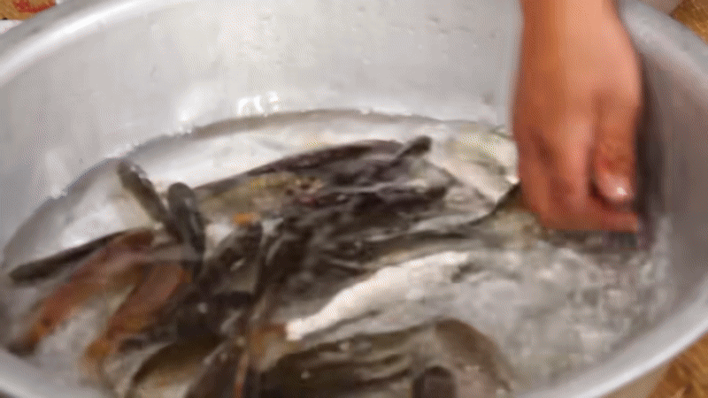 Khách Tây ăn thử "đặc sản nhảy tanh tách" của người Tây Bắc, nhận xét: Vị nó không hề giống vẻ bề ngoài!- Ảnh 2.