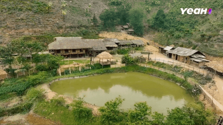 Homestay tại Lào Cai full phòng 3 tháng liền, chị Thông Bản Liền trở thành hiện tượng sau Gia Đình Haha- Ảnh 12. Homestay tại Lào Cai full phòng 3 tháng liền, chị Thông Bản Liền trở thành hiện tượng sau Gia Đình Haha- Ảnh 12.