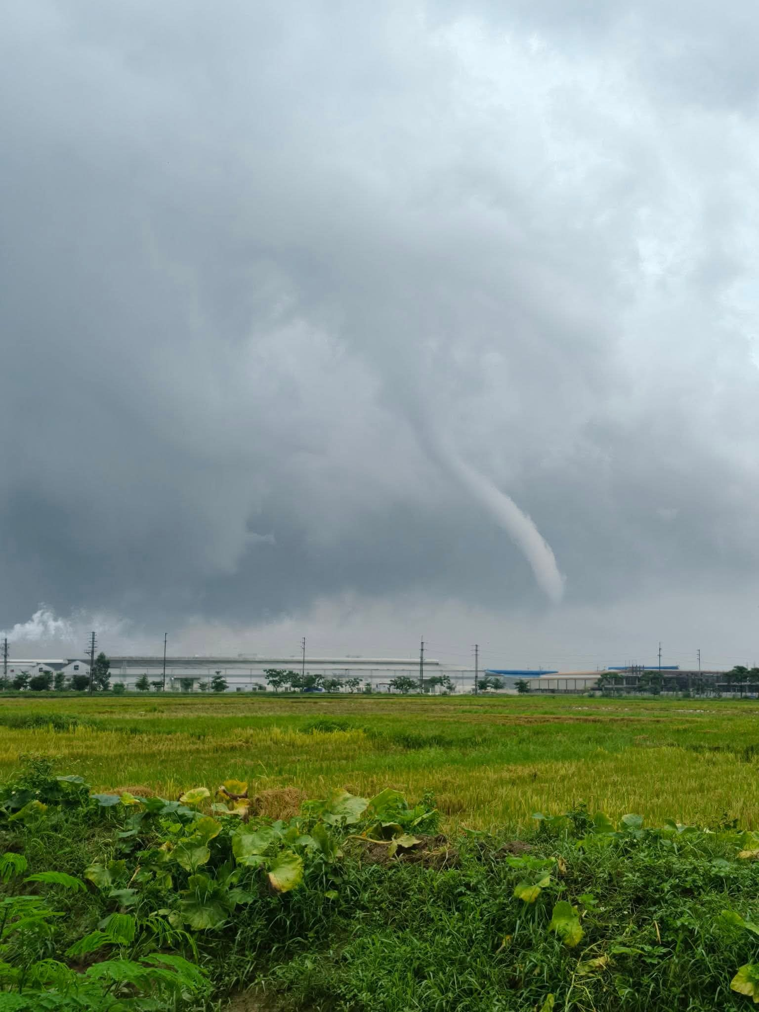 Vòi rồng vừa xuất hiện tại Bắc Ninh: Chuyện gì xảy ra?- Ảnh 1.