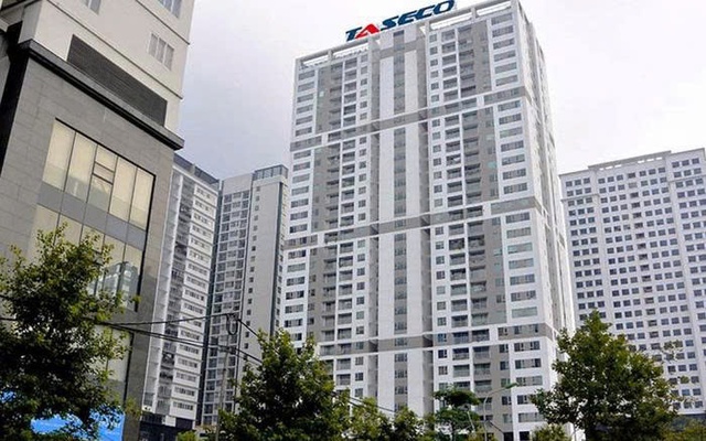 Gần 312 triệu cổ phiếu TAL của Taseco Land được chấp thuận niêm yết trên HoSE- Ảnh 1.