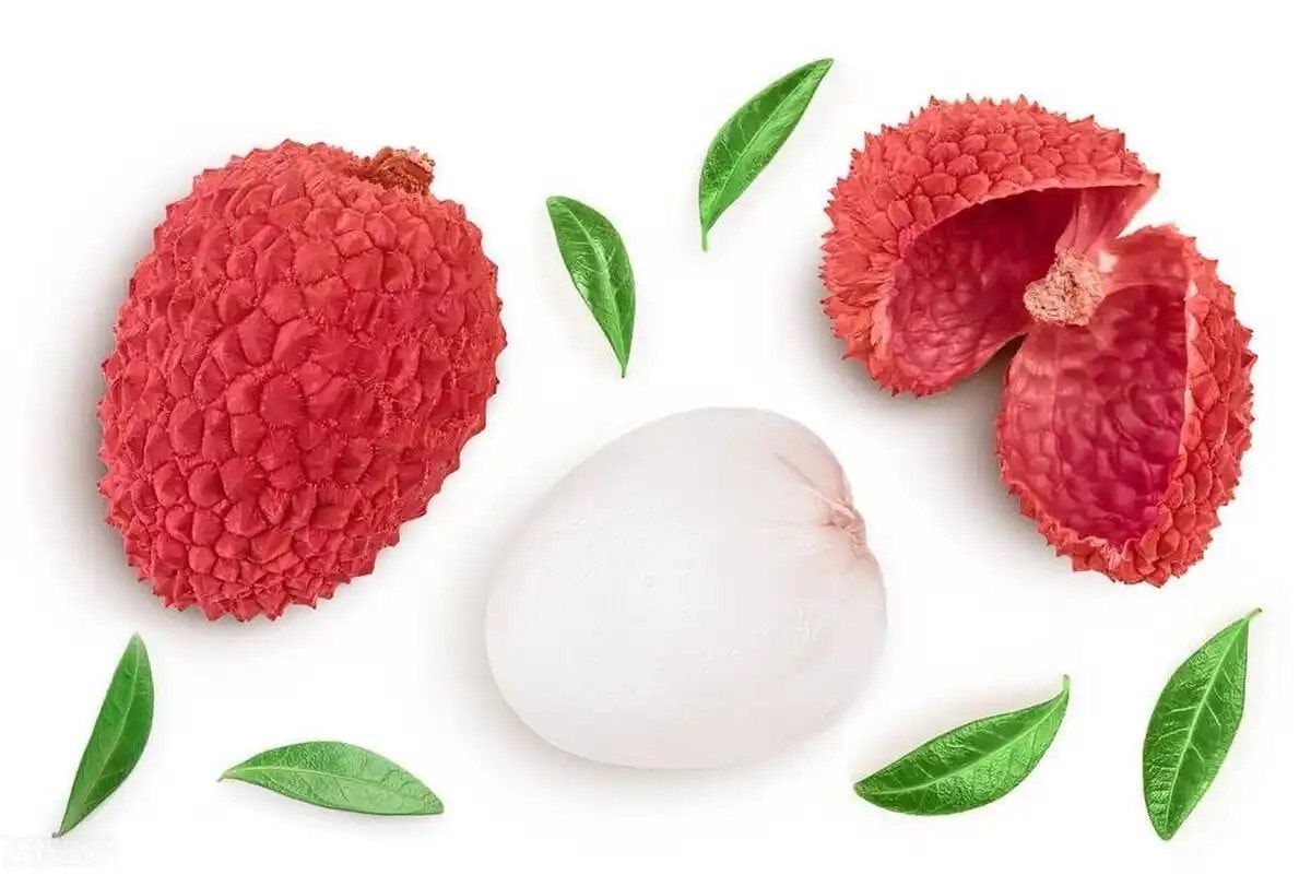 Loại quả cực kỳ phổ biến ở Việt Nam nhưng từng gây “sóng gió” cho nhiều triều đình phong kiến Trung Quốc vì độ khan hiếm: Nhà vua đau đầu xem chia quả cho ai- Ảnh 3. Loại quả cực kỳ phổ biến ở Việt Nam nhưng từng gây “sóng gió” cho nhiều triều đình phong kiến Trung Quốc vì độ khan hiếm: Nhà vua đau đầu xem chia quả cho ai- Ảnh 3.