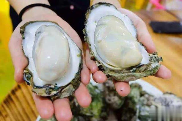 Khi mua hàu, đừng mua 3 loại hàu này: Chủ cửa hàng hải sản không bao giờ để người nhà ăn- Ảnh 1. Khi mua hàu, đừng mua 3 loại hàu này: Chủ cửa hàng hải sản không bao giờ để người nhà ăn- Ảnh 1.