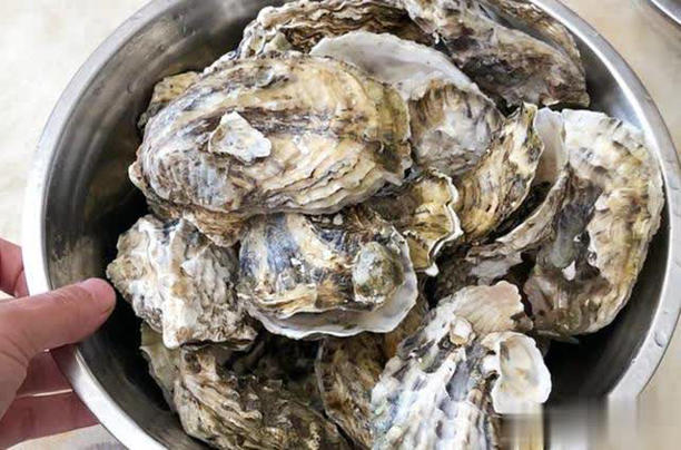 Khi mua hàu, đừng mua 3 loại hàu này: Chủ cửa hàng hải sản không bao giờ để người nhà ăn- Ảnh 2. Khi mua hàu, đừng mua 3 loại hàu này: Chủ cửa hàng hải sản không bao giờ để người nhà ăn- Ảnh 2.