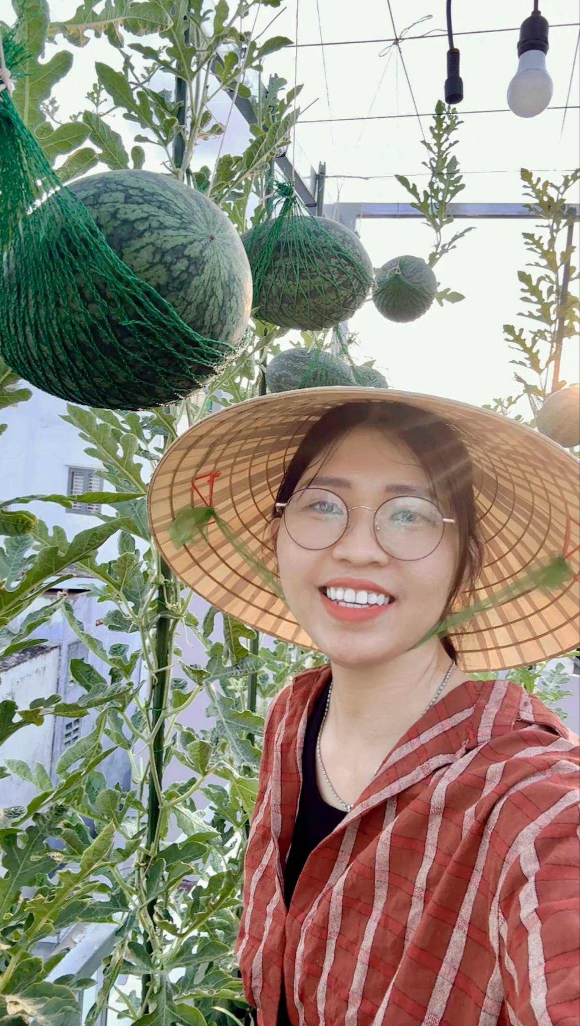 Từ tay mơ đến bà chủ vườn chỉ sau 2 tháng: Mẹ trẻ bật mí 4 kinh nghiệm trồng rau sân thượng trĩu quả khiến ai cũng bất ngờ vì “quá dễ”- Ảnh 9. Từ tay mơ đến bà chủ vườn chỉ sau 2 tháng: Mẹ trẻ bật mí 4 kinh nghiệm trồng rau sân thượng trĩu quả khiến ai cũng bất ngờ vì “quá dễ”- Ảnh 9.