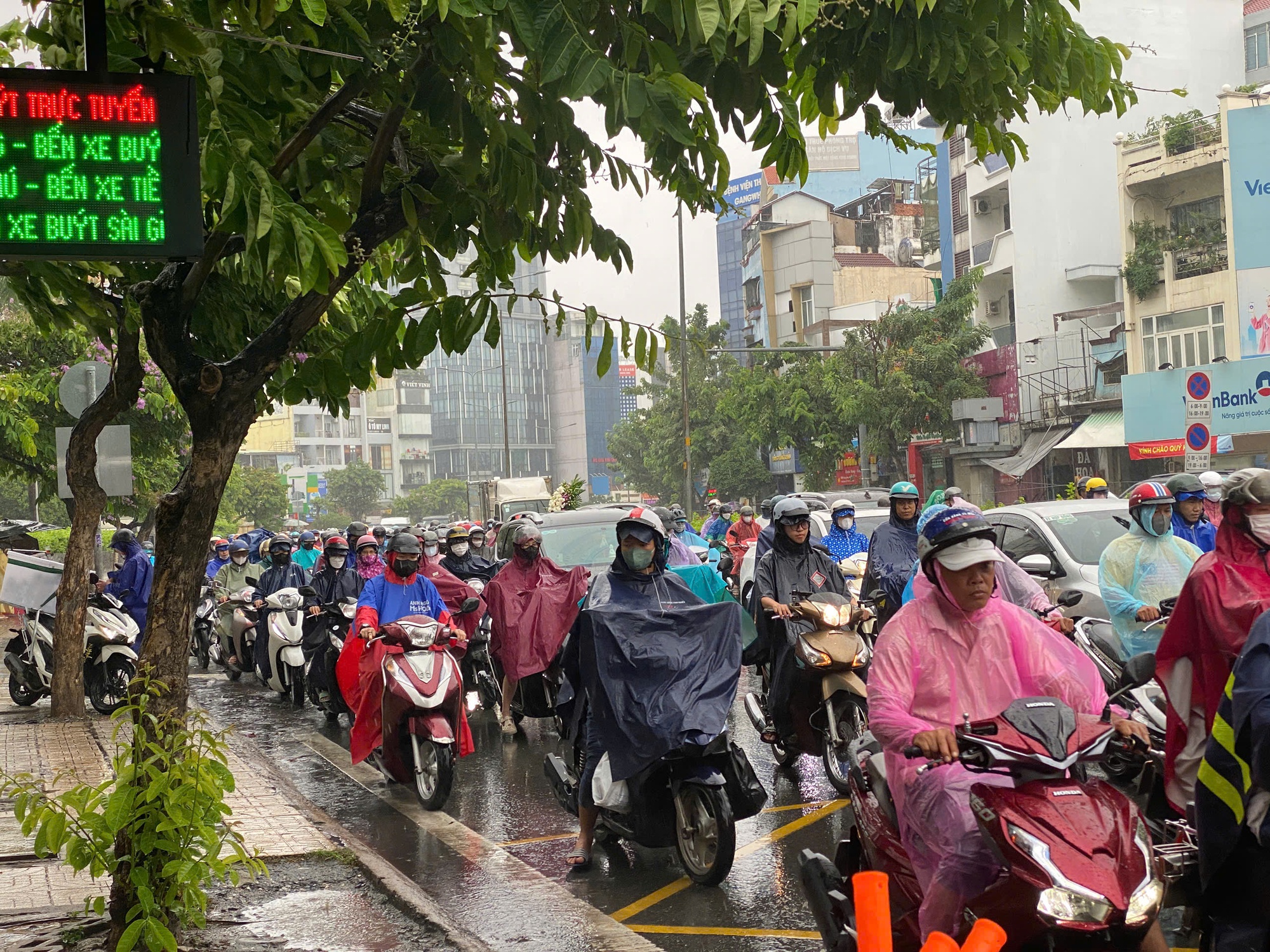 TP HCM: Gió rít mạnh, mưa như trút nước- Ảnh 4.