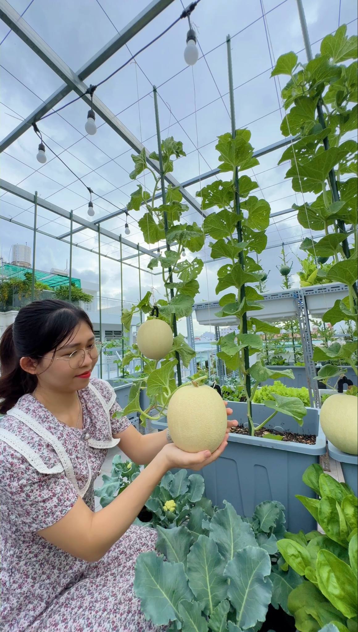 Từ tay mơ đến bà chủ vườn chỉ sau 2 tháng: Mẹ trẻ bật mí 4 kinh nghiệm trồng rau sân thượng trĩu quả khiến ai cũng bất ngờ vì “quá dễ”- Ảnh 8. Từ tay mơ đến bà chủ vườn chỉ sau 2 tháng: Mẹ trẻ bật mí 4 kinh nghiệm trồng rau sân thượng trĩu quả khiến ai cũng bất ngờ vì “quá dễ”- Ảnh 8.