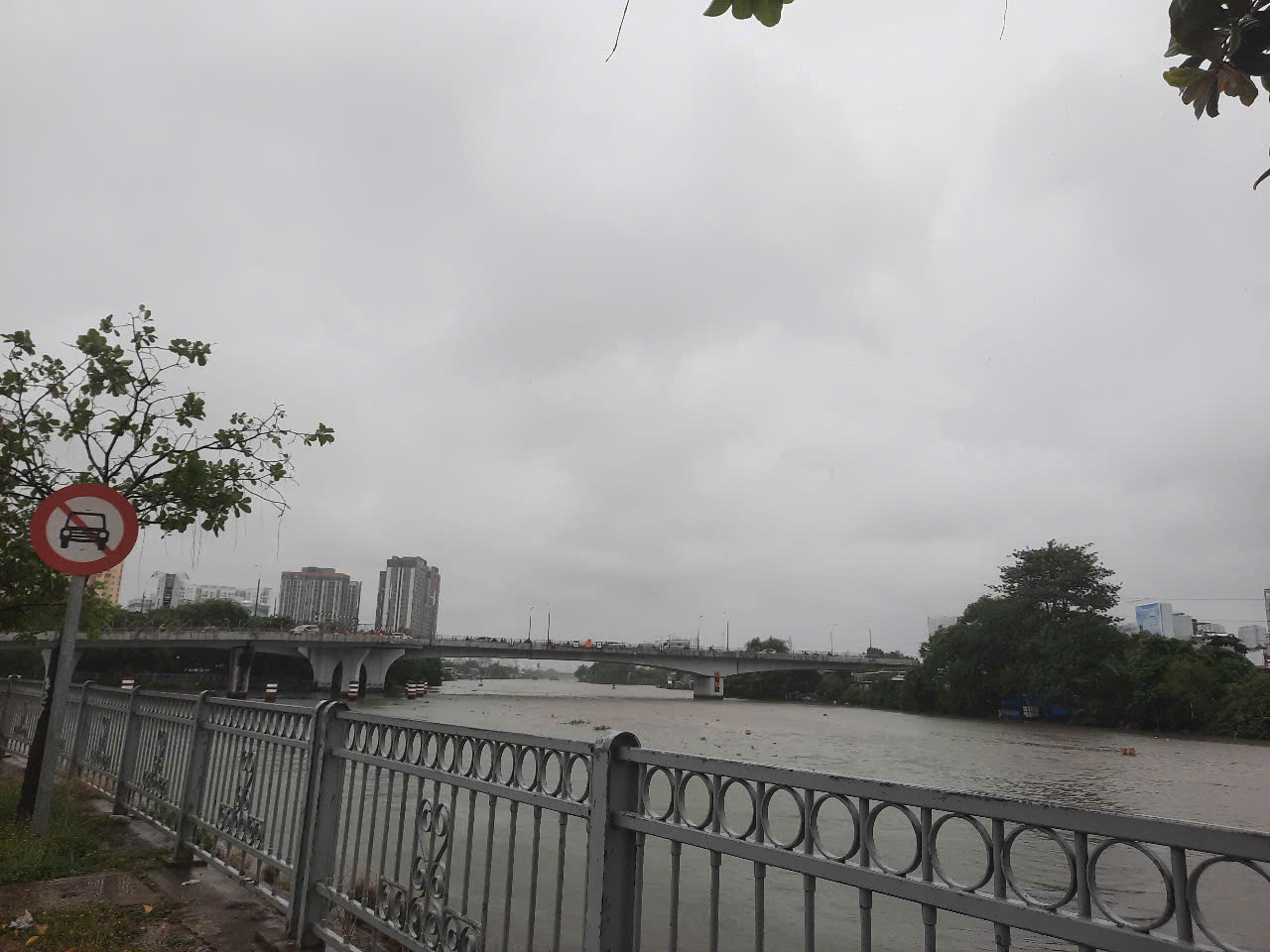 TP HCM: Gió rít mạnh, mưa như trút nước- Ảnh 2.