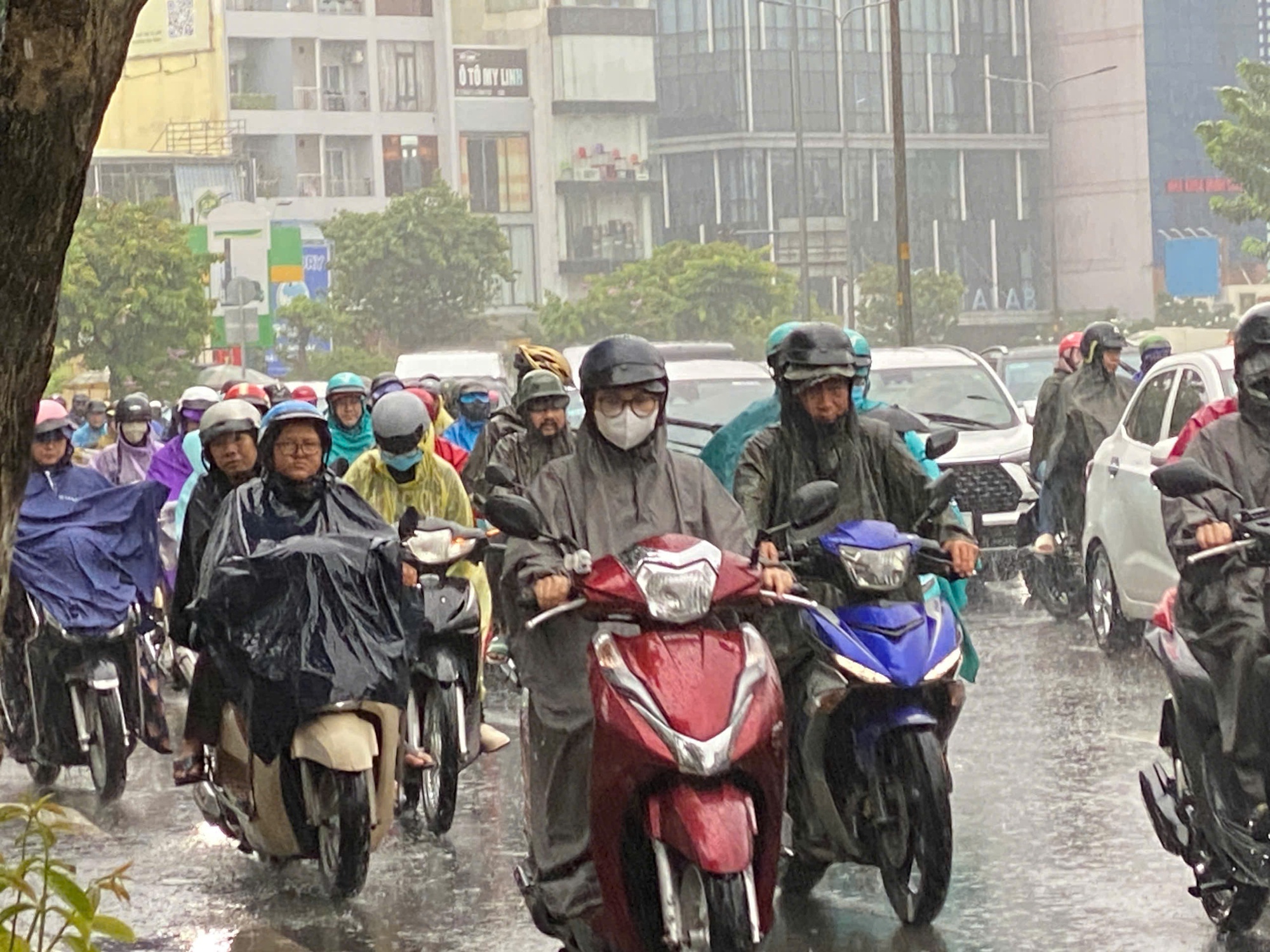 TP HCM: Gió rít mạnh, mưa như trút nước- Ảnh 1.