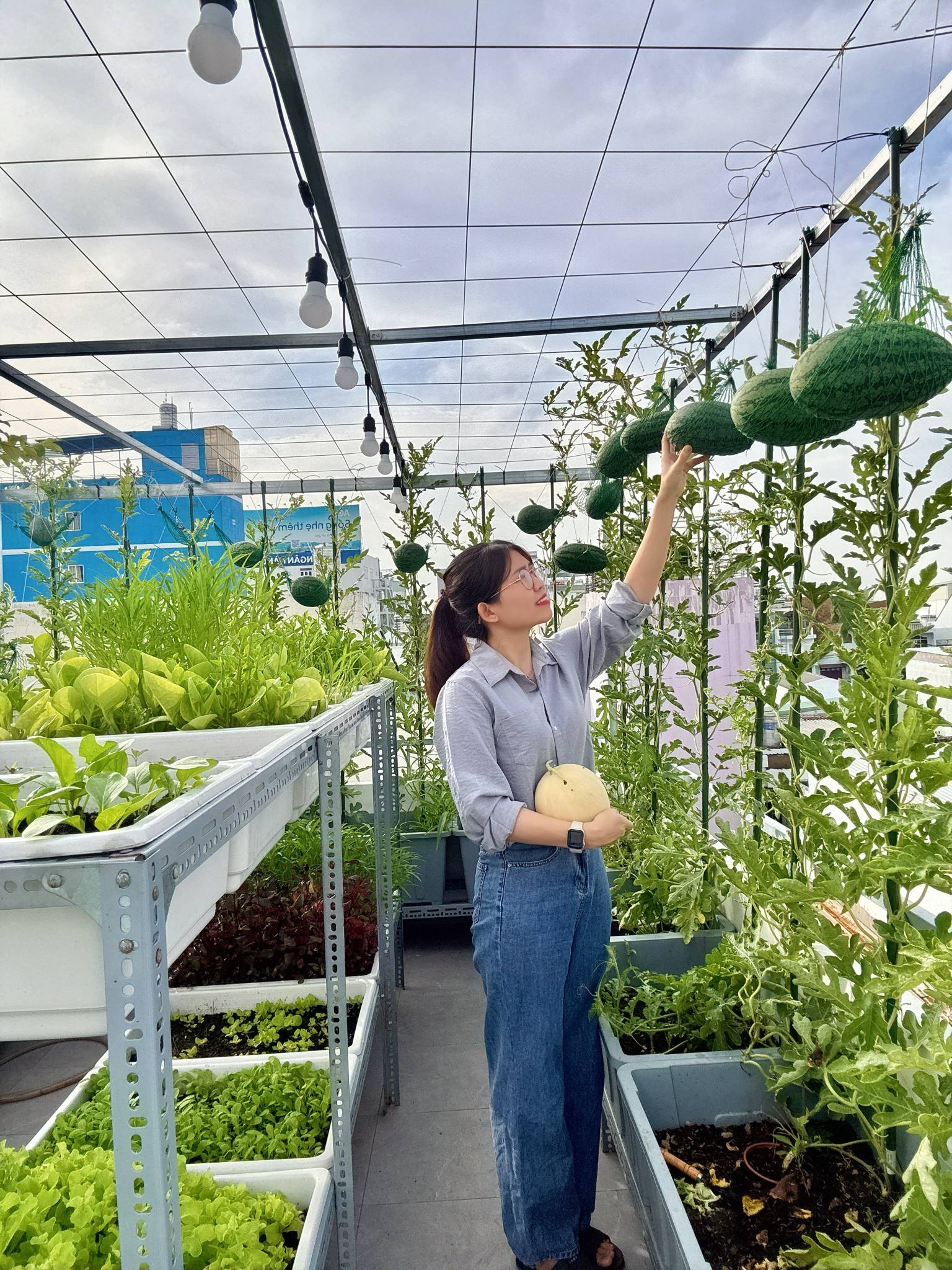 Từ tay mơ đến bà chủ vườn chỉ sau 2 tháng: Mẹ trẻ bật mí 4 kinh nghiệm trồng rau sân thượng trĩu quả khiến ai cũng bất ngờ vì “quá dễ”- Ảnh 2. Từ tay mơ đến bà chủ vườn chỉ sau 2 tháng: Mẹ trẻ bật mí 4 kinh nghiệm trồng rau sân thượng trĩu quả khiến ai cũng bất ngờ vì “quá dễ”- Ảnh 2.