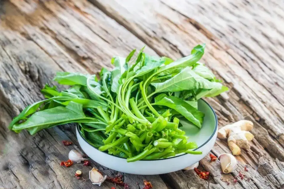 Loại rau giải nhiệt mùa hè là "thuốc làm sạch đường ruột", giúp hạ đường huyết, tốt đủ đường: Chợ Việt bán vừa nhiều vừa rẻ- Ảnh 1.