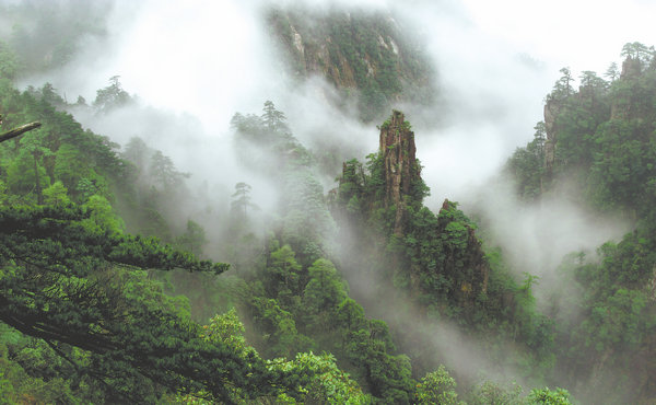 Lần theo hình ảnh camera hồng ngoại, kỹ sư bảo tồn hân hoan tìm thấy phân loài mới chưa được phát hiện- Ảnh 1.