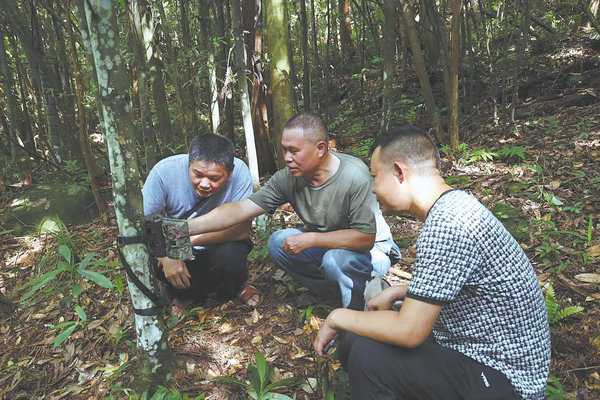 Lần theo hình ảnh camera hồng ngoại, kỹ sư bảo tồn hân hoan tìm thấy phân loài mới chưa được phát hiện- Ảnh 3.