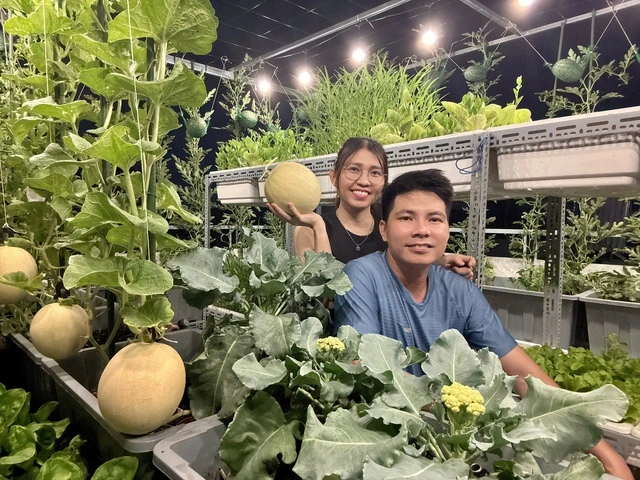 Từ tay mơ đến bà chủ vườn chỉ sau 2 tháng: Mẹ trẻ bật mí 4 kinh nghiệm trồng rau sân thượng trĩu quả khiến ai cũng bất ngờ vì “quá dễ”- Ảnh 1. Từ tay mơ đến bà chủ vườn chỉ sau 2 tháng: Mẹ trẻ bật mí 4 kinh nghiệm trồng rau sân thượng trĩu quả khiến ai cũng bất ngờ vì “quá dễ”- Ảnh 1.