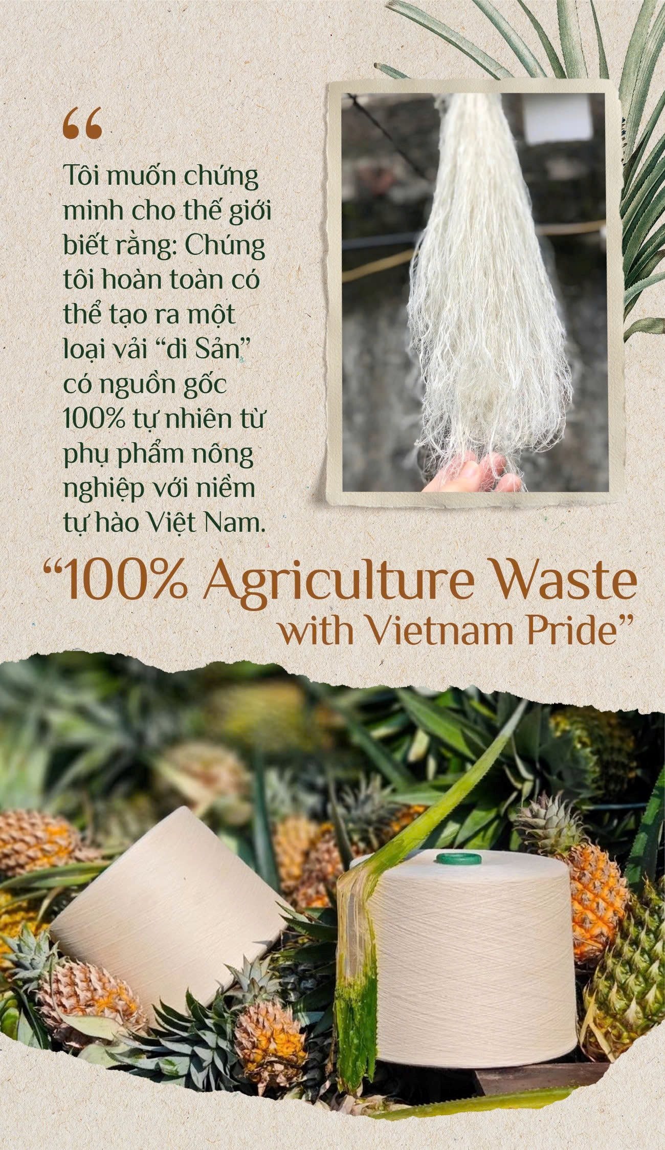 DN thu tiền khủng từ 1 loại lá: TQ không có nguyên liệu để làm, VN có hàng triệu tấn, phần lớn bị đốt bỏ- Ảnh 2. DN thu tiền khủng từ 1 loại lá: TQ không có nguyên liệu để làm, VN có hàng triệu tấn, phần lớn bị đốt bỏ- Ảnh 2.
