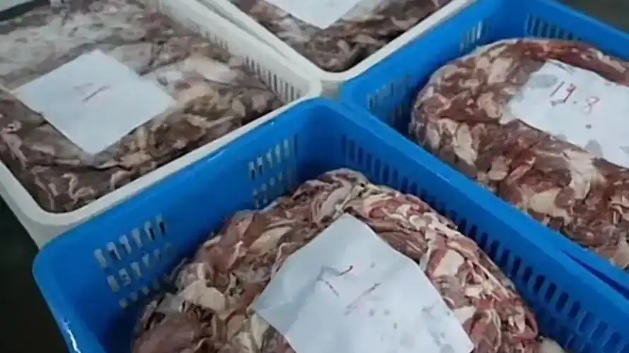 Theo dõi suốt 3 tháng, phanh phui đường dây sản xuất thịt giả doanh thu 127 tỷ đồng, tịch thu 900 tấn thịt chất thành “núi”- Ảnh 2. Theo dõi suốt 3 tháng, phanh phui đường dây sản xuất thịt giả doanh thu 127 tỷ đồng, tịch thu 900 tấn thịt chất thành “núi”- Ảnh 2.