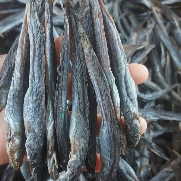 Loại cá Loại cá