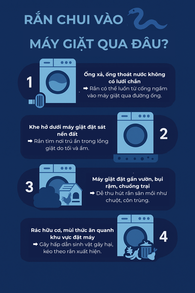 Kiểm tra máy giặt, người dùng tá hỏa phát hiện có rắn bên trong: Chúng đi vào từ đường nào?- Ảnh 3. Kiểm tra máy giặt, người dùng tá hỏa phát hiện có rắn bên trong: Chúng đi vào từ đường nào?- Ảnh 3.