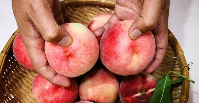Mua đào cứ thấy chỗ này nhọn lên là ngọt giòn: Bí mật người bán hàng không bao giờ nói- Ảnh 2.