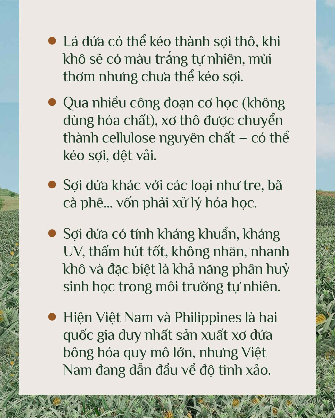 DN thu tiền khủng từ 1 loại lá: TQ không có nguyên liệu để làm, VN có hàng triệu tấn, phần lớn bị đốt bỏ- Ảnh 8. DN thu tiền khủng từ 1 loại lá: TQ không có nguyên liệu để làm, VN có hàng triệu tấn, phần lớn bị đốt bỏ- Ảnh 8.