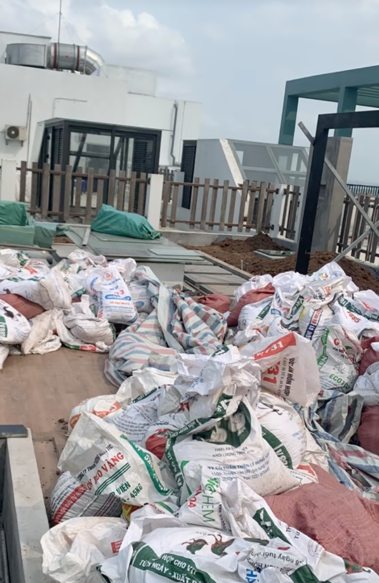 Ông bố trẻ biến sân thượng penthouse thành hồ sen nở rực – thành quả đẹp đến khó tin- Ảnh 5. Ông bố trẻ biến sân thượng penthouse thành hồ sen nở rực – thành quả đẹp đến khó tin- Ảnh 5.