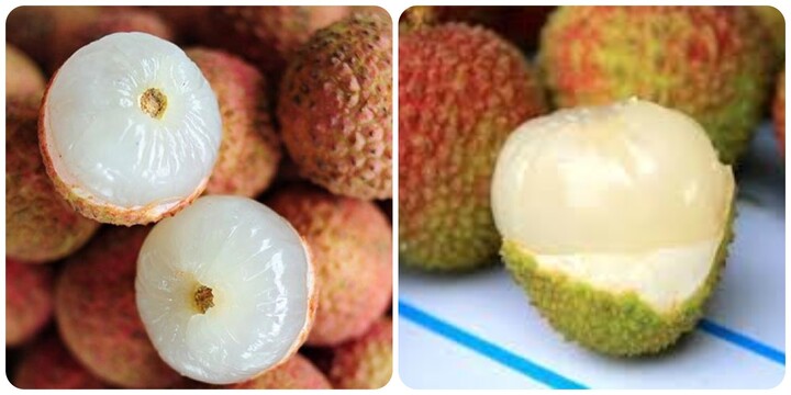 5 lưu ý quan trọng khi ăn quả vải để không gây hại sức khoẻ- Ảnh 1. 5 lưu ý quan trọng khi ăn quả vải để không gây hại sức khoẻ- Ảnh 1.
