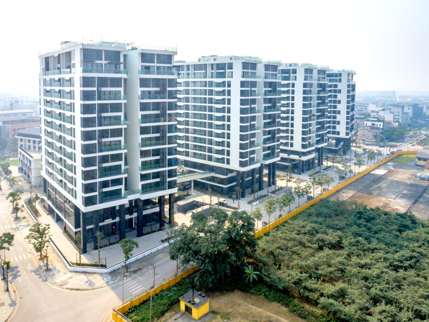 Sunshine Group livestream đặt giá căn hộ vào 1/7 chỉ với giá khởi điểm bằng 50% giá thị trường- Ảnh 1. Sunshine Group livestream đặt giá căn hộ vào 1/7 chỉ với giá khởi điểm bằng 50% giá thị trường- Ảnh 1.