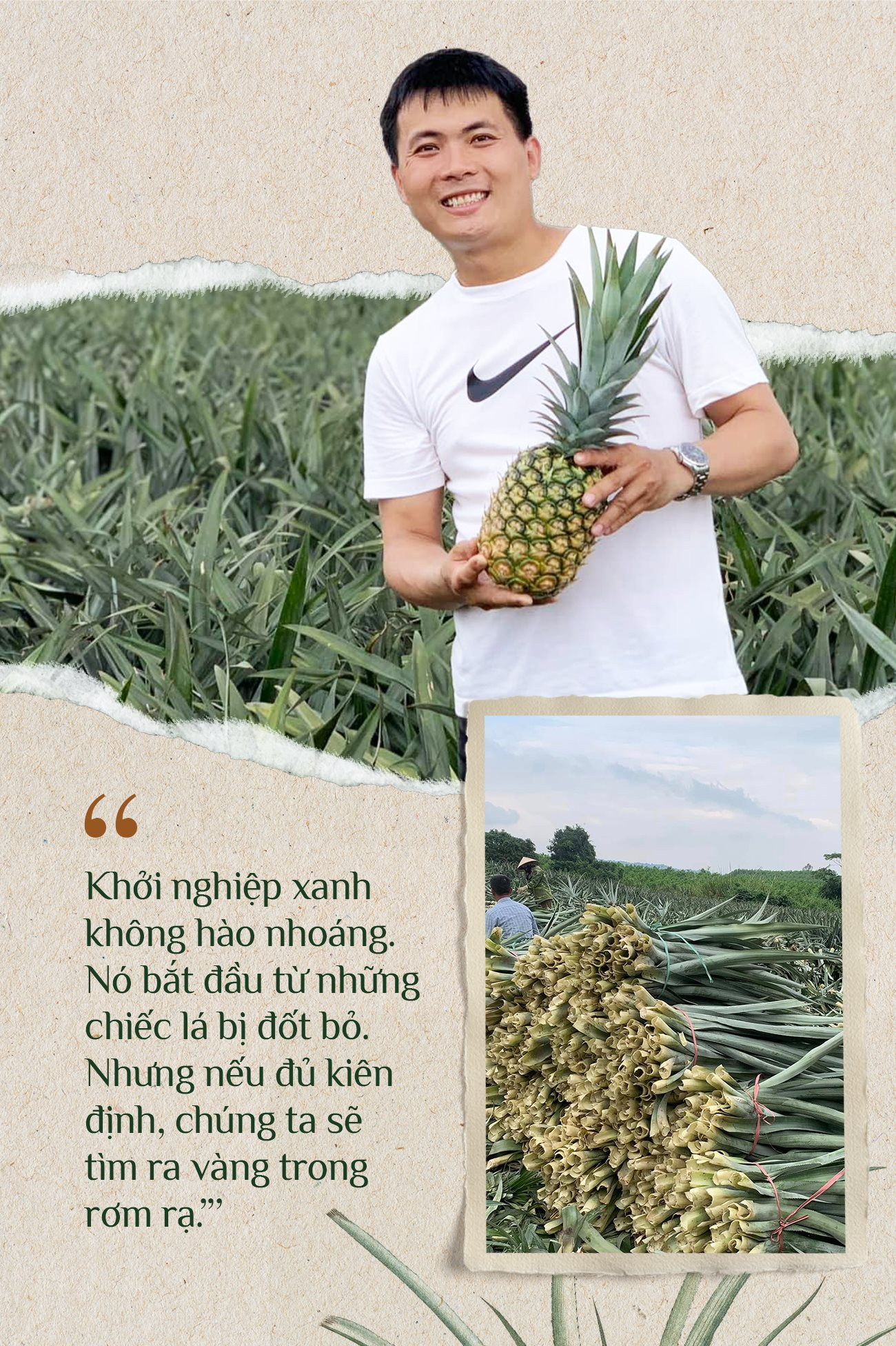 DN thu tiền khủng từ 1 loại lá: TQ không có nguyên liệu để làm, VN có hàng triệu tấn, phần lớn bị đốt bỏ- Ảnh 1. DN thu tiền khủng từ 1 loại lá: TQ không có nguyên liệu để làm, VN có hàng triệu tấn, phần lớn bị đốt bỏ- Ảnh 1.
