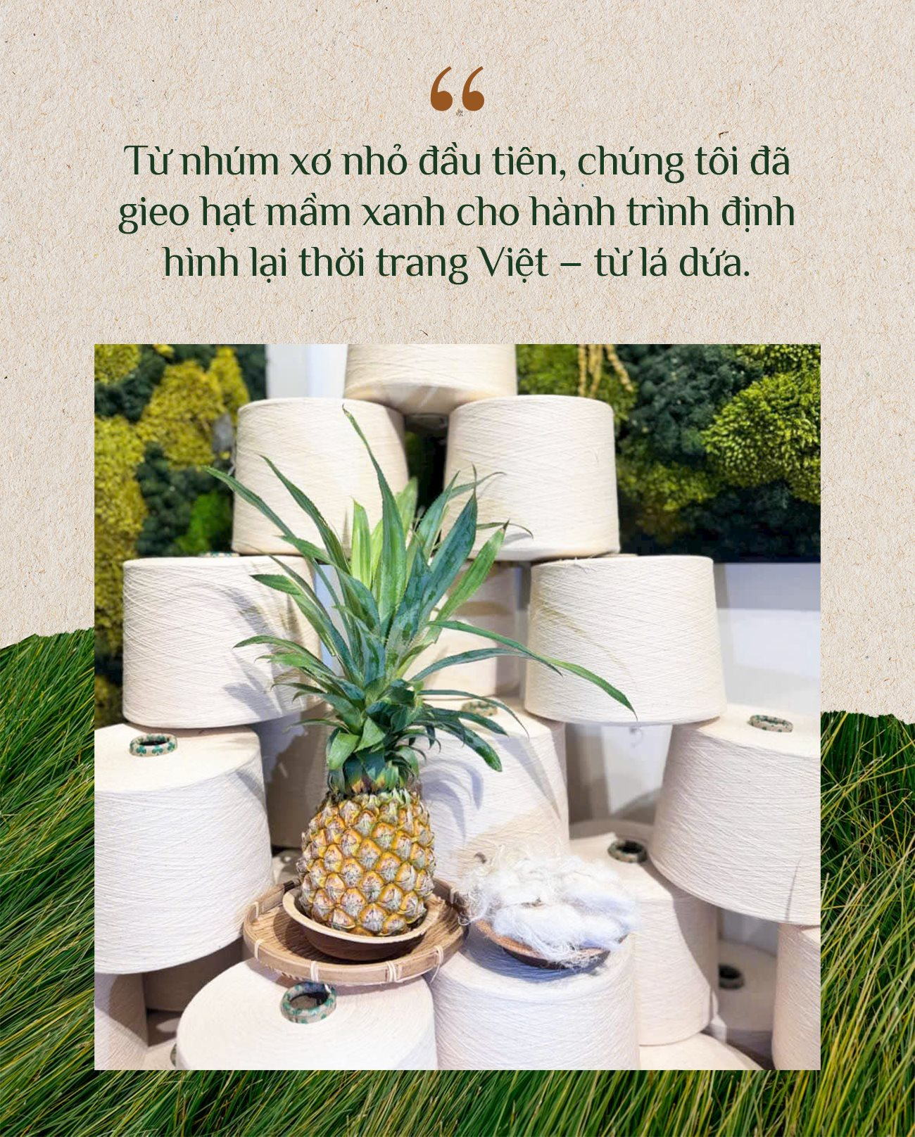 DN thu tiền khủng từ 1 loại lá: TQ không có nguyên liệu để làm, VN có hàng triệu tấn, phần lớn bị đốt bỏ- Ảnh 7. DN thu tiền khủng từ 1 loại lá: TQ không có nguyên liệu để làm, VN có hàng triệu tấn, phần lớn bị đốt bỏ- Ảnh 7.
