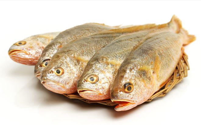 Đừng ngần ngại mua 5 loại cá này, đều là cá hoang dã và không thể nuôi được- Ảnh 2.