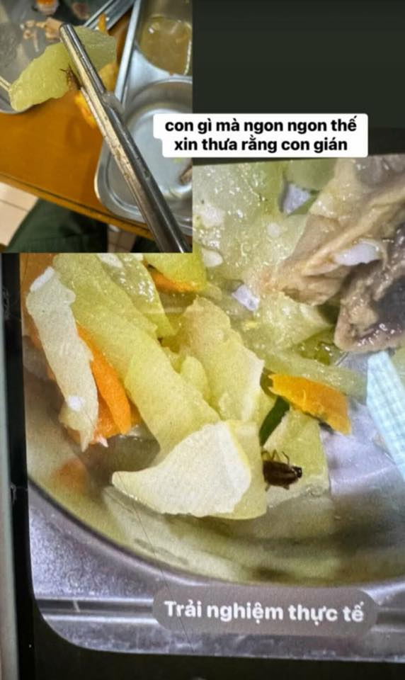 Trường Bách khoa lên tiếng vụ gần 180 sinh viên phản ánh bị đau bụng, nôn mửa sau bữa trưa quân sự- Ảnh 2. Trường Bách khoa lên tiếng vụ gần 180 sinh viên phản ánh bị đau bụng, nôn mửa sau bữa trưa quân sự- Ảnh 2.