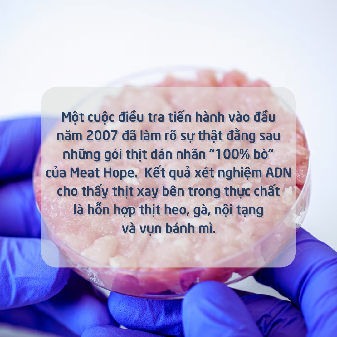 Cái kết buồn của người phanh phui bê bối thịt "bẩn" làm rúng động quốc gia có tiêu chuẩn an toàn thực phẩm nghiêm ngặt top đầu thế giới: Vợ ly hôn, người thân phớt lờ...- Ảnh 2. Cái kết buồn của người phanh phui bê bối thịt "bẩn" làm rúng động quốc gia có tiêu chuẩn an toàn thực phẩm nghiêm ngặt top đầu thế giới: Vợ ly hôn, người thân phớt lờ...- Ảnh 2.