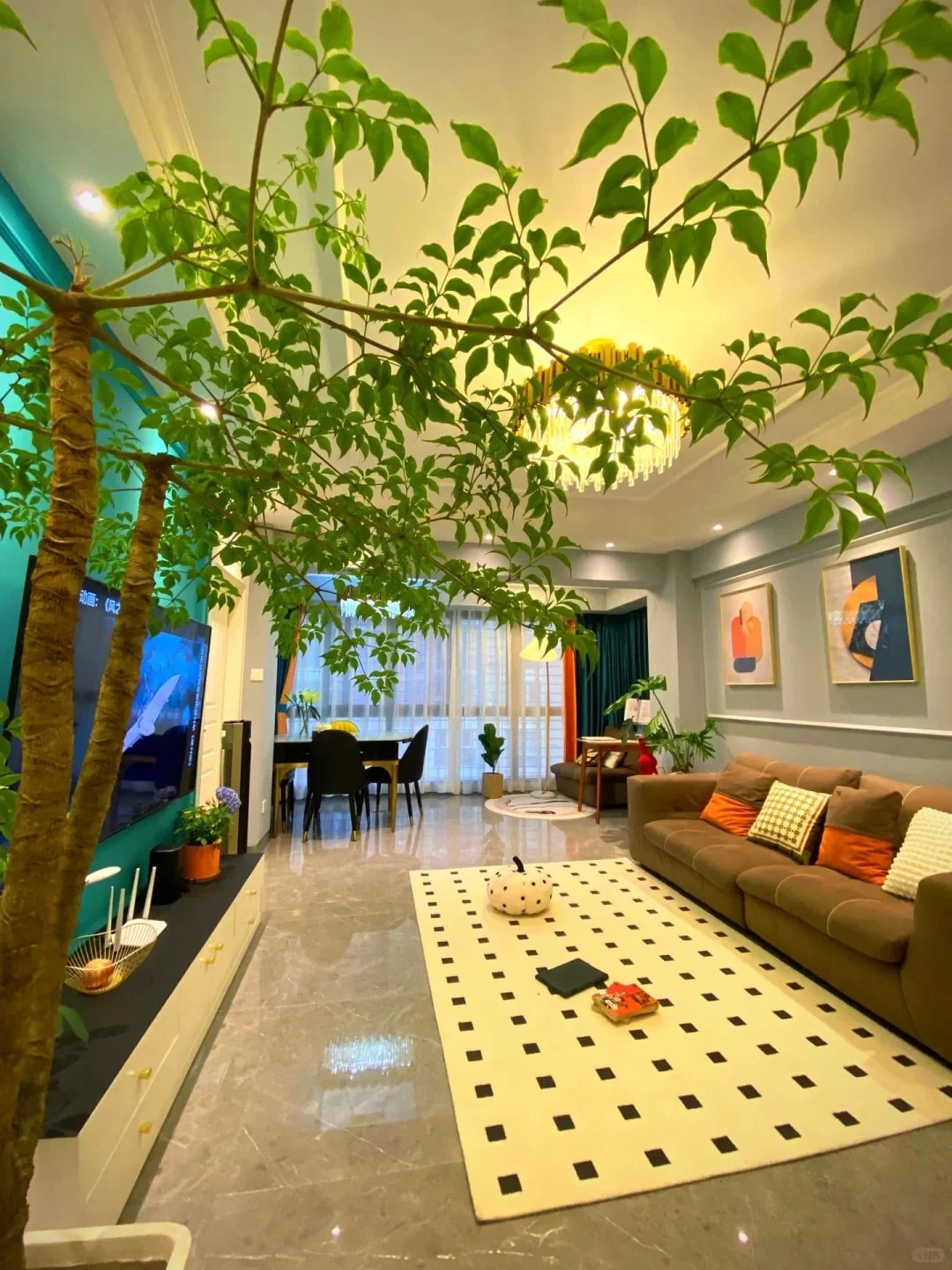 Khuyên thật lòng: Phòng khách trồng đúng 3 cây này, vượng khí dâng cao, tiền về như nước- Ảnh 2. Khuyên thật lòng: Phòng khách trồng đúng 3 cây này, vượng khí dâng cao, tiền về như nước- Ảnh 2.