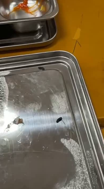 Trường Bách khoa lên tiếng vụ gần 180 sinh viên phản ánh bị đau bụng, nôn mửa sau bữa trưa quân sự- Ảnh 3. Trường Bách khoa lên tiếng vụ gần 180 sinh viên phản ánh bị đau bụng, nôn mửa sau bữa trưa quân sự- Ảnh 3.