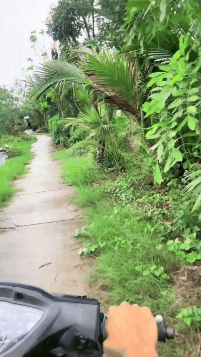 Căn nhà ở Cà Mau có con đường đâm xuyên, ngày đêm phải mở cửa cho xe máy chạy qua- Ảnh 1. Căn nhà ở Cà Mau có con đường đâm xuyên, ngày đêm phải mở cửa cho xe máy chạy qua- Ảnh 1.