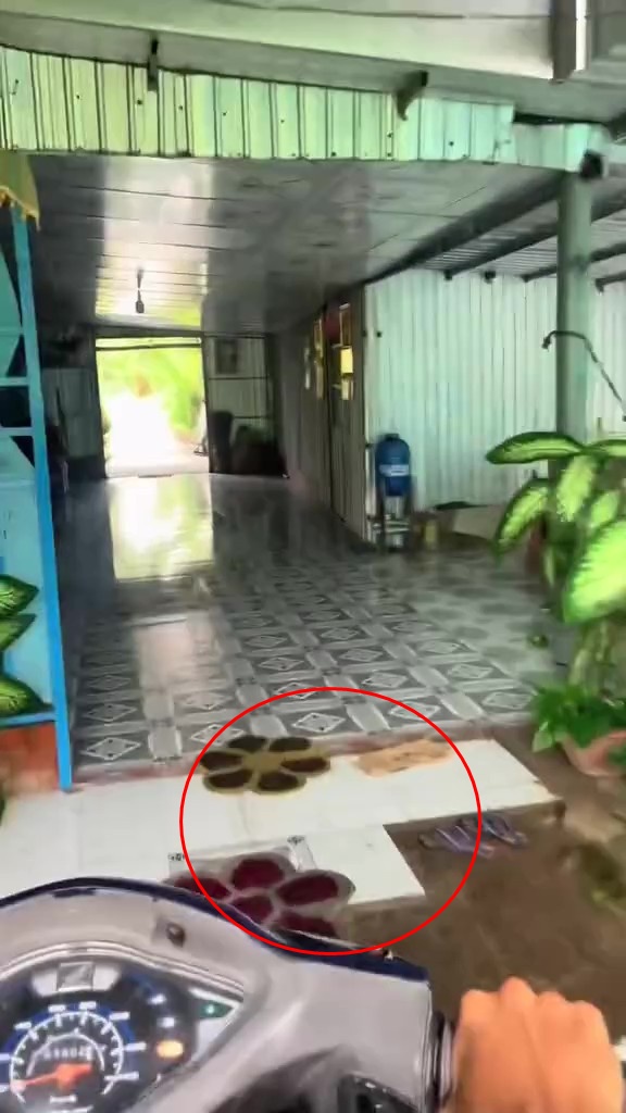 Căn nhà ở Cà Mau có con đường đâm xuyên, ngày đêm phải mở cửa cho xe máy chạy qua- Ảnh 3. Căn nhà ở Cà Mau có con đường đâm xuyên, ngày đêm phải mở cửa cho xe máy chạy qua- Ảnh 3.
